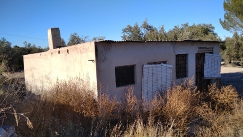 Calasparra Noroeste terrain foto 6333973