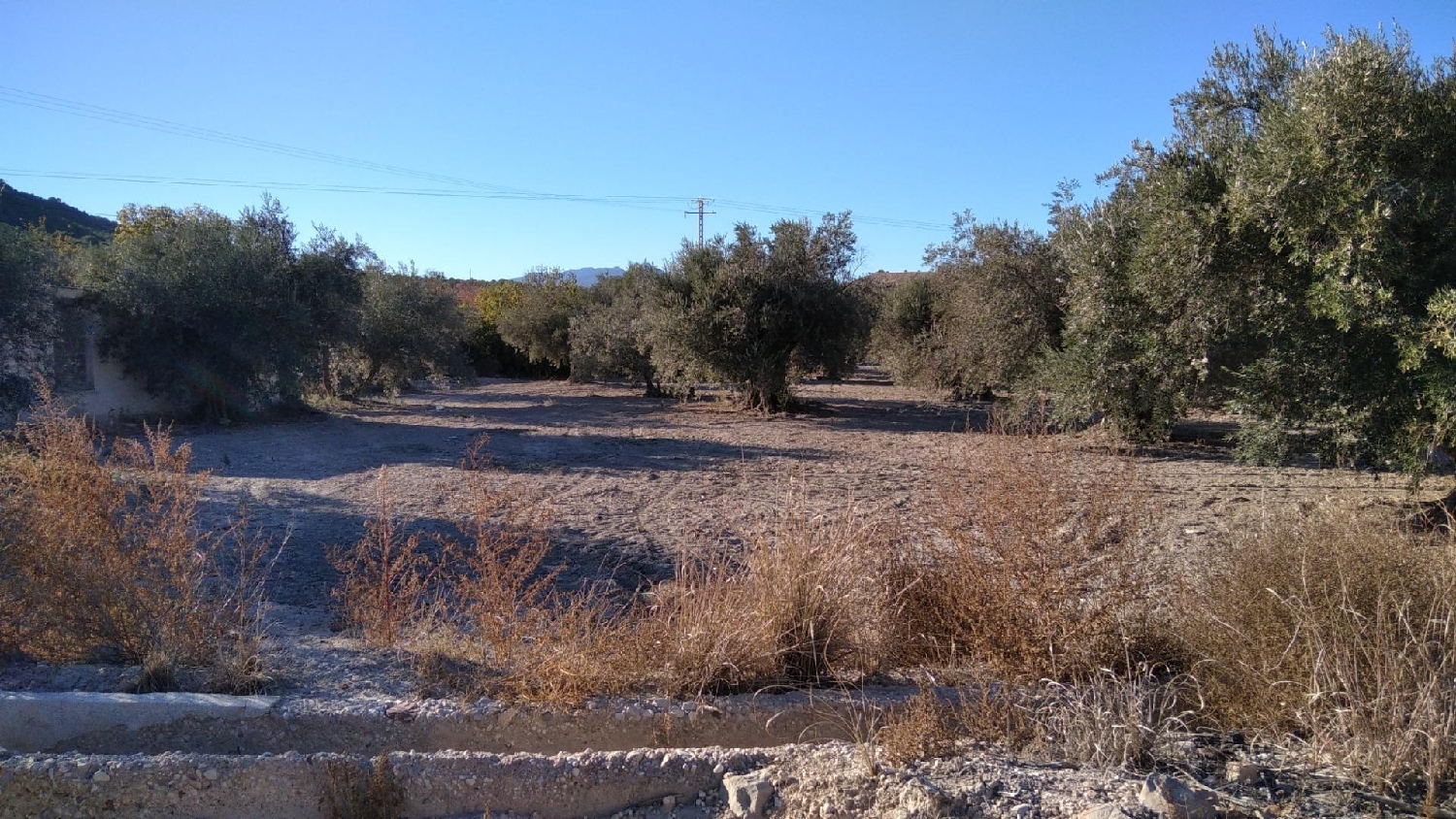  à vendre terrain Calasparra Noroeste 6