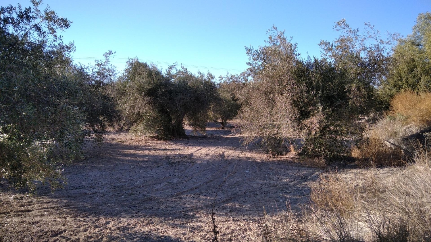  à vendre terrain Calasparra Noroeste 8