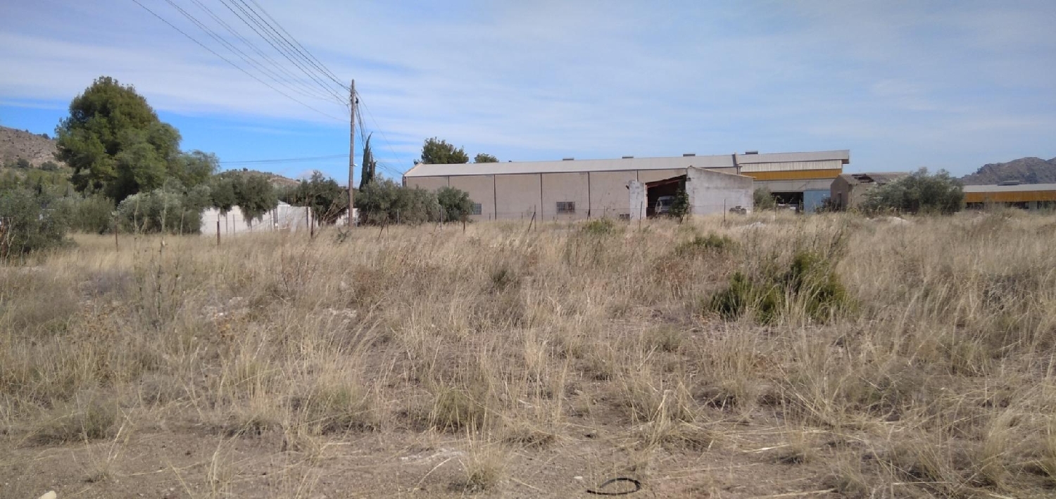  till salu tomt Calasparra Noroeste 2