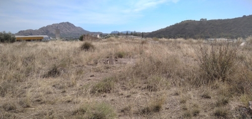 Calasparra Noroeste terrain foto 6333976