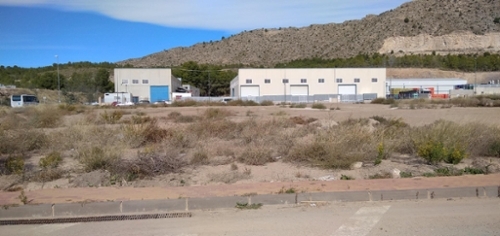 Calasparra Noroeste terrain foto 6333979