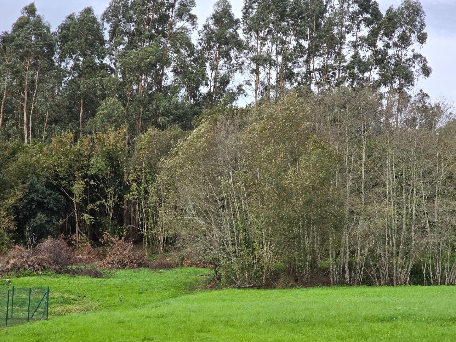  te koop perceel Cambre Bergantiños 8