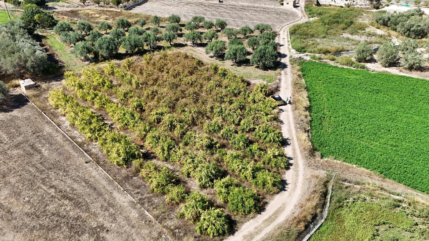 te koop perceel Camp De Lliria Camp De Túria 4