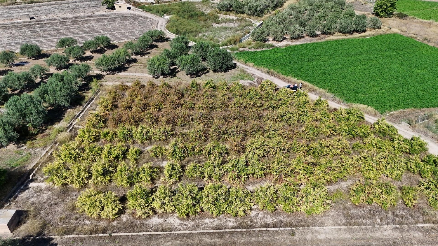 te koop perceel Camp De Lliria Camp De Túria 3
