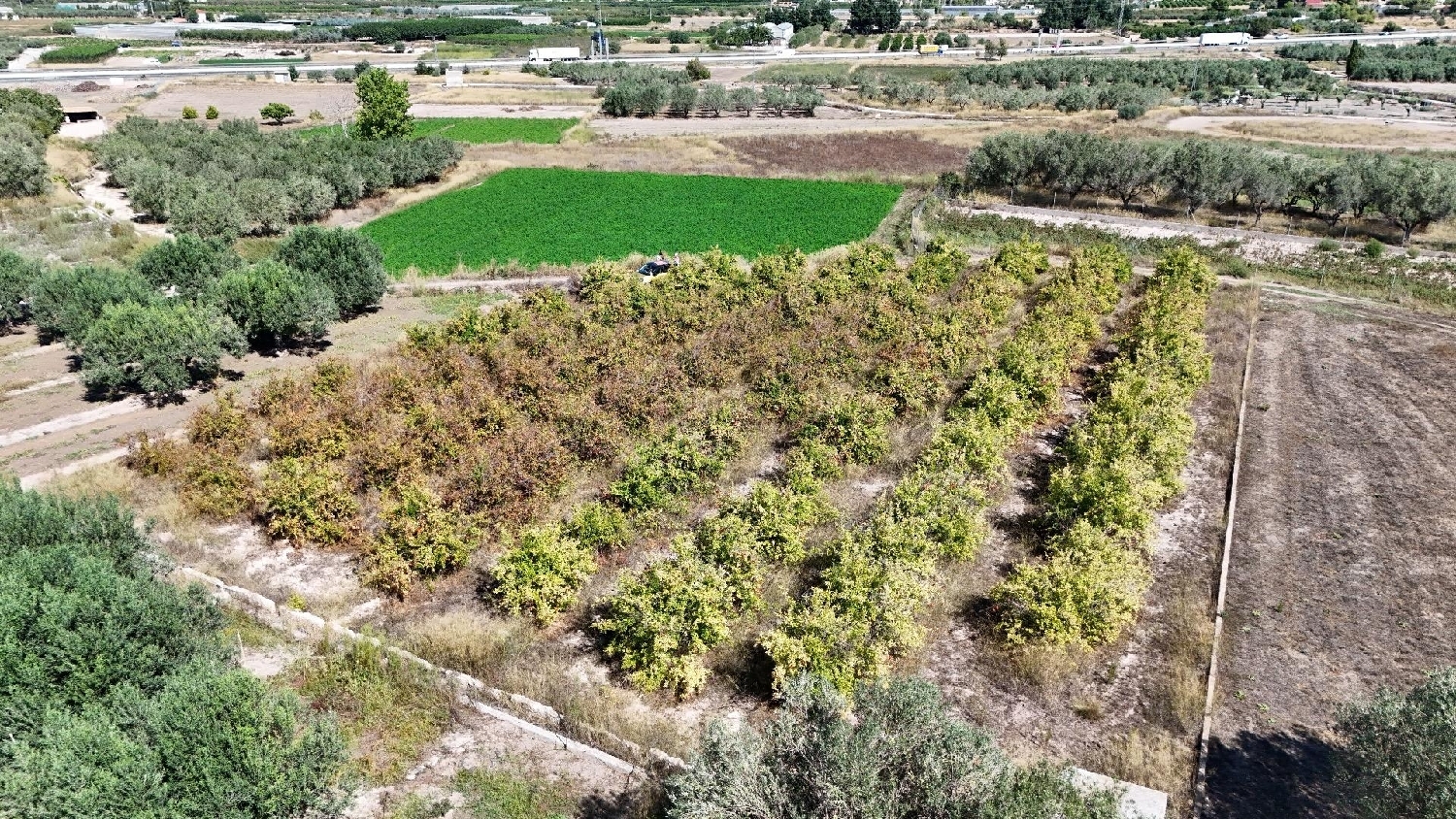 te koop perceel Camp De Lliria Camp De Túria 2