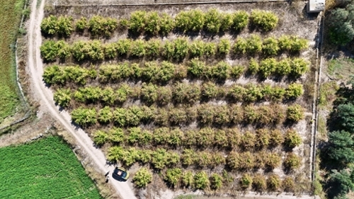 Camp De Lliria Camp De Túria perceel foto 6329948