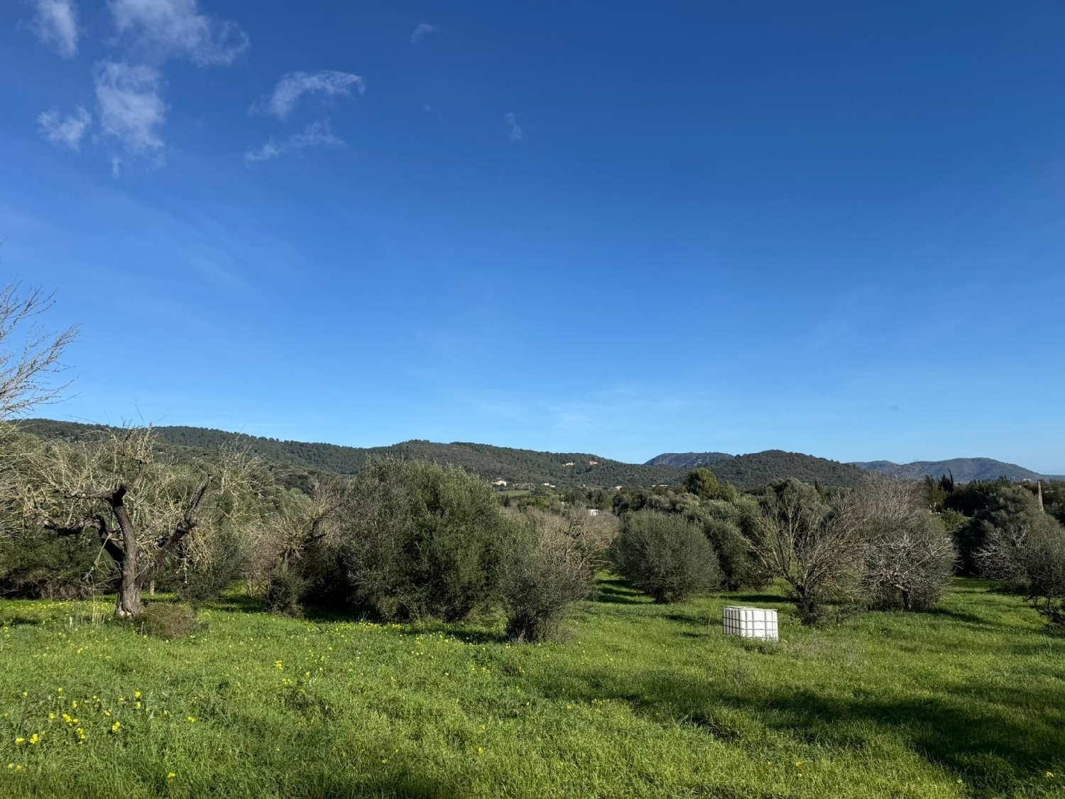  kaufen Grundstück Campanet Raiguer 1