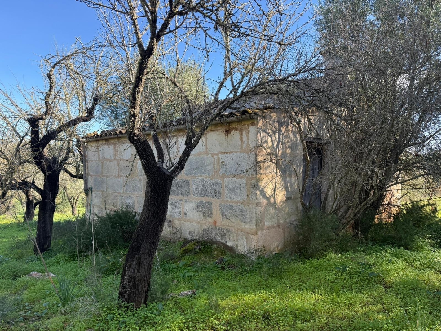  kaufen Grundstück Campanet Raiguer 4