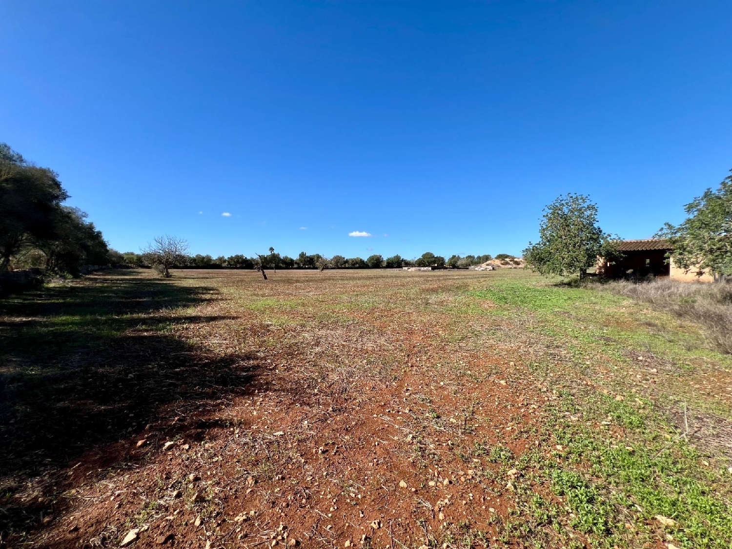 te koop perceel Campos Sud 7