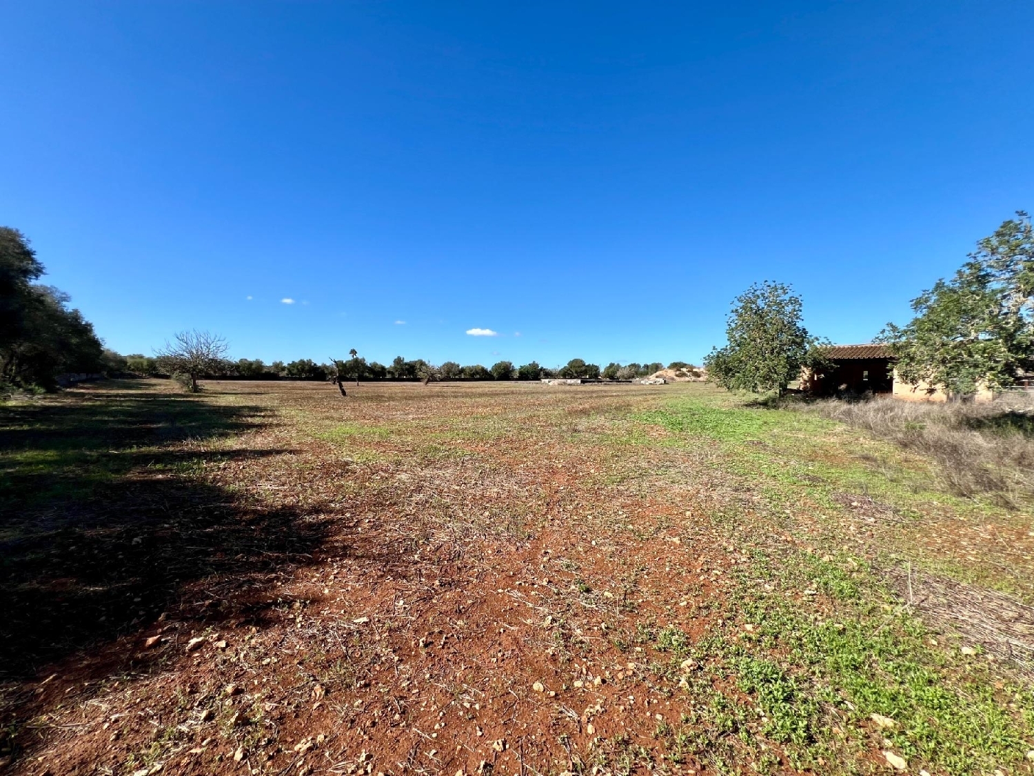 te koop perceel Campos Sud 4