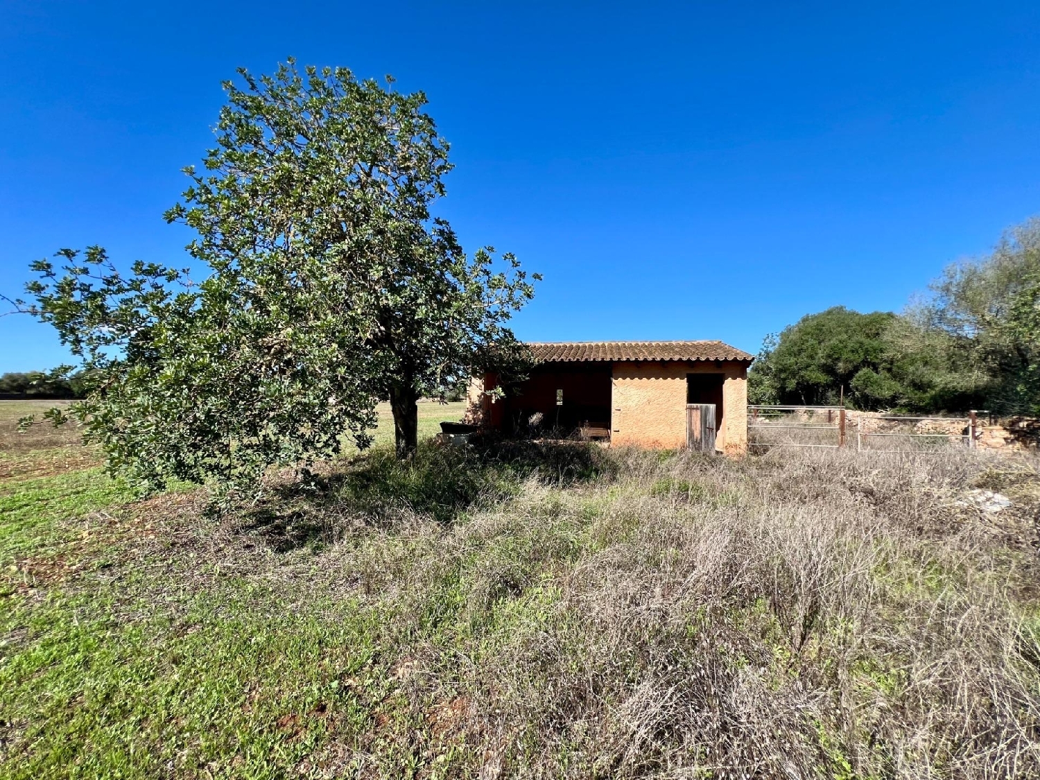 te koop perceel Campos Sud 6