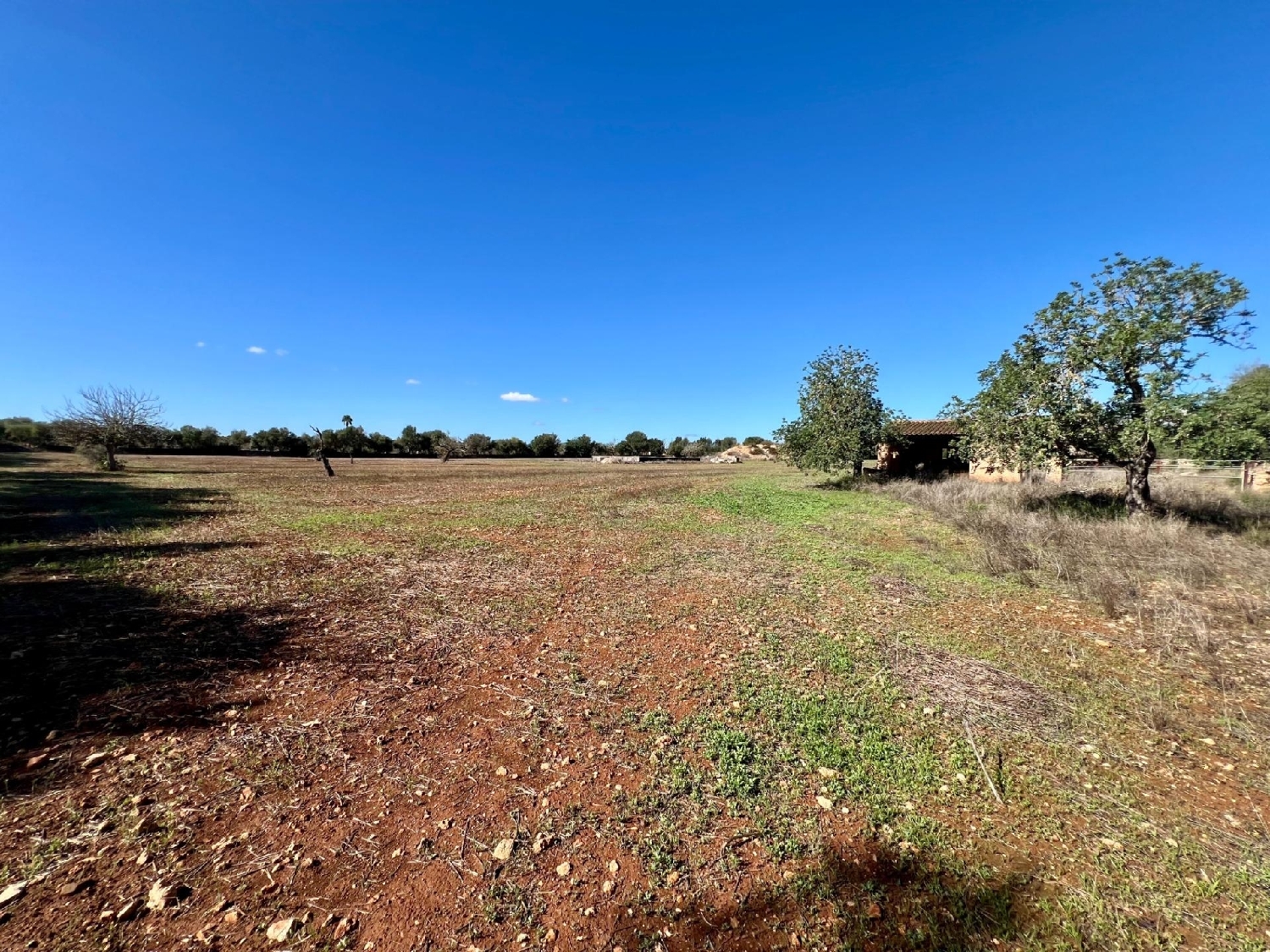 te koop perceel Campos Sud 3