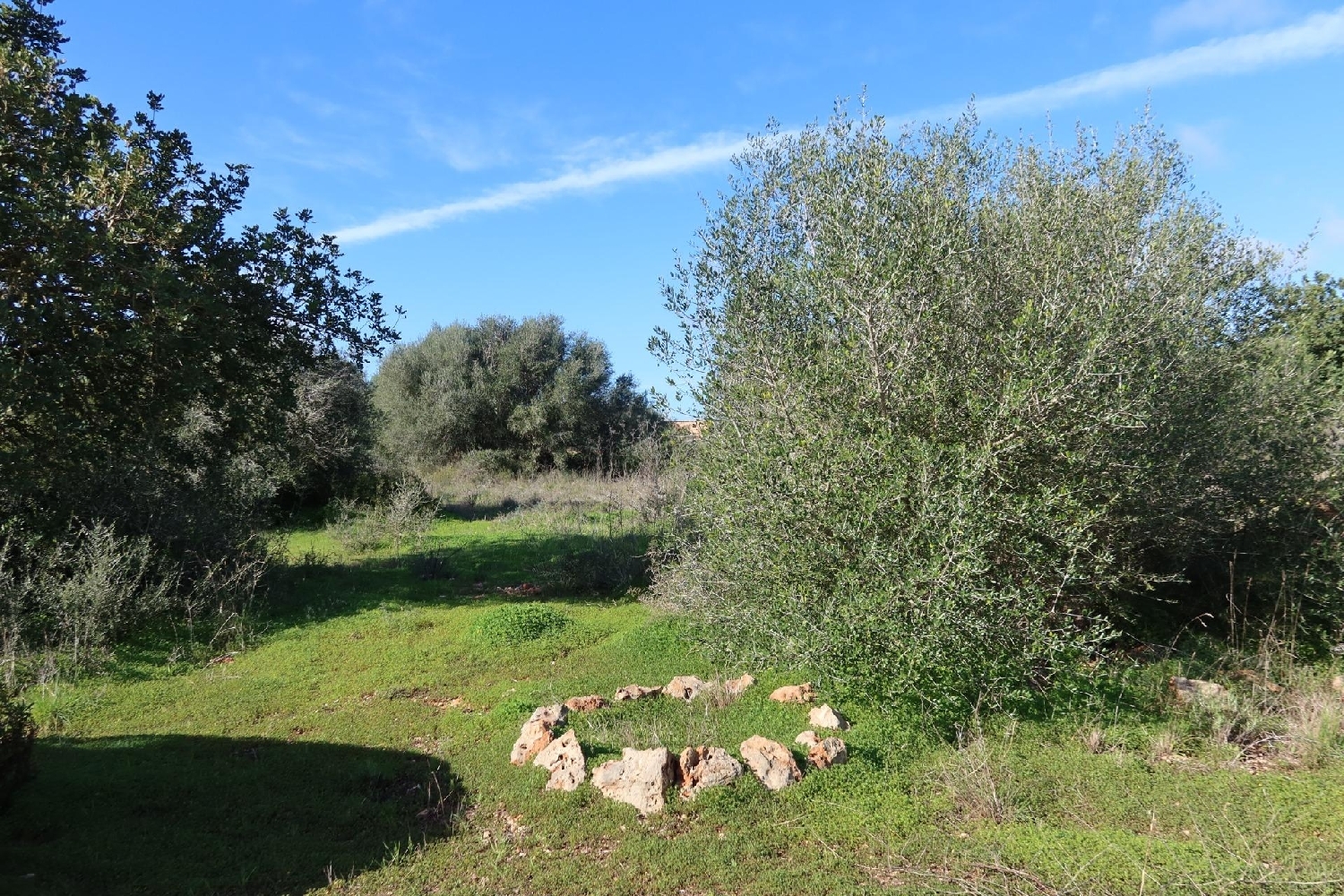 te koop perceel Campos Sud 3