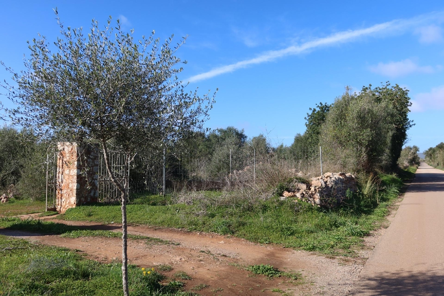 te koop perceel Campos Sud 4