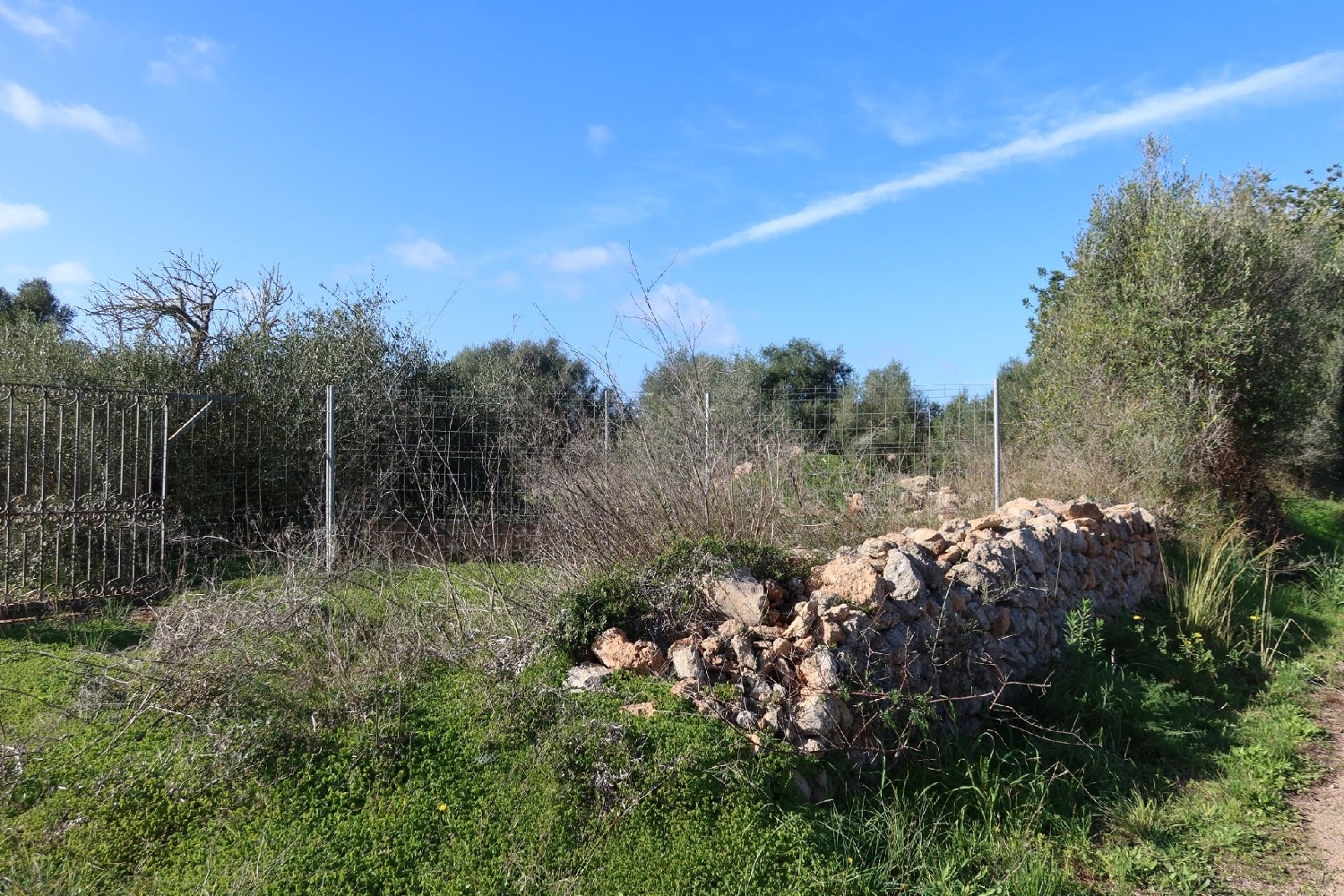 te koop perceel Campos Sud 6