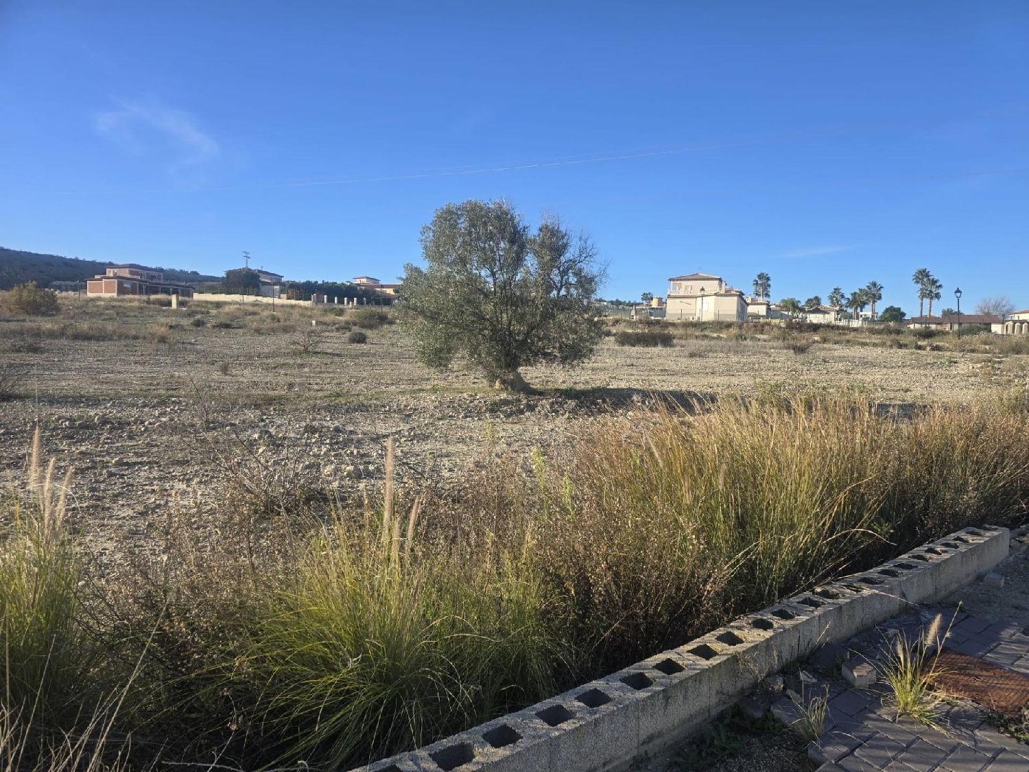 till salu tomt Campos Del Rio Río Mula 2