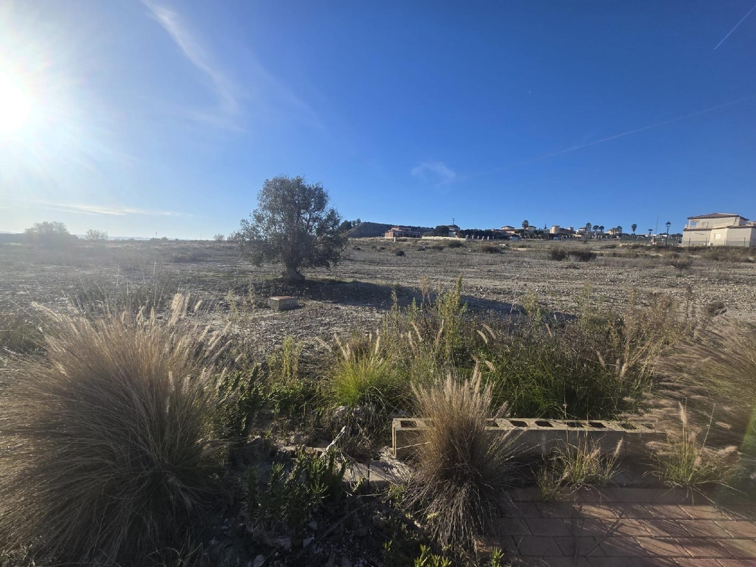 till salu tomt Campos Del Rio Río Mula 5