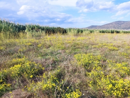 Can Sunyer Del Palau Baix Llobregat tomt foto 6338493