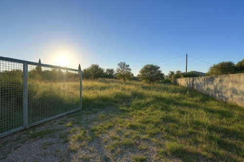 Carcaixent Ribera Alta terrain foto 6342303