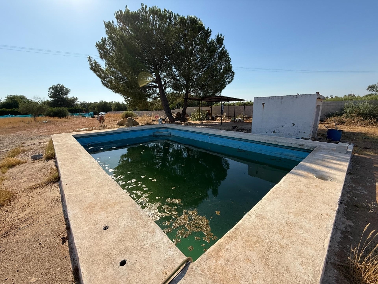 te koop perceel Carmona Campiña De Carmona 1