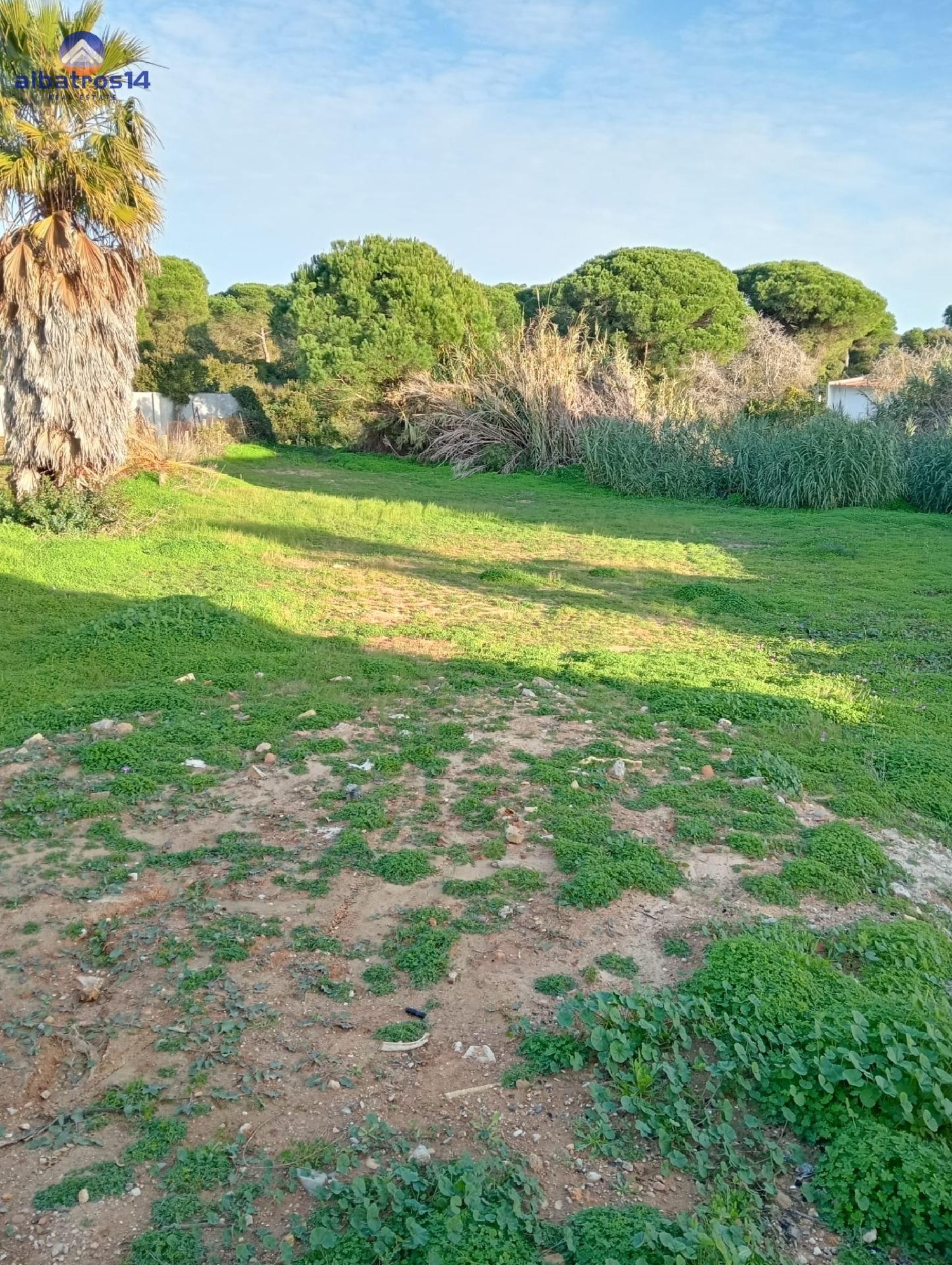  te koop perceel Cartaya Costa Occidental 2