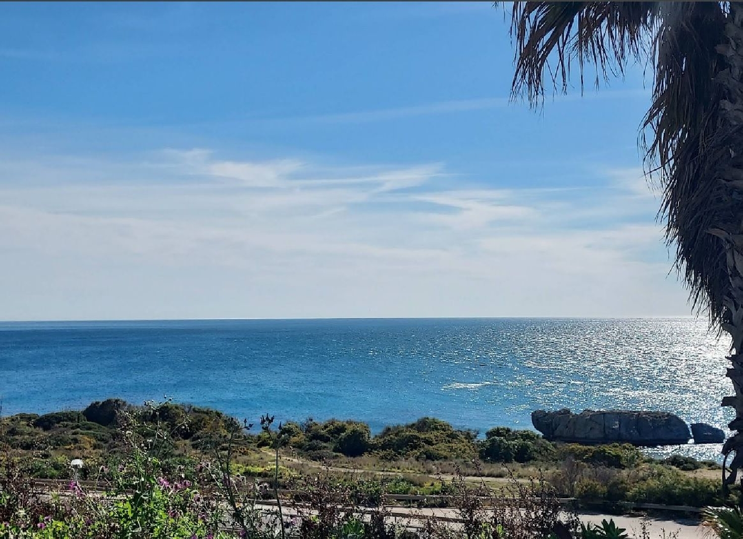  for sale plot Casares Costa Del Sol Occidental 1