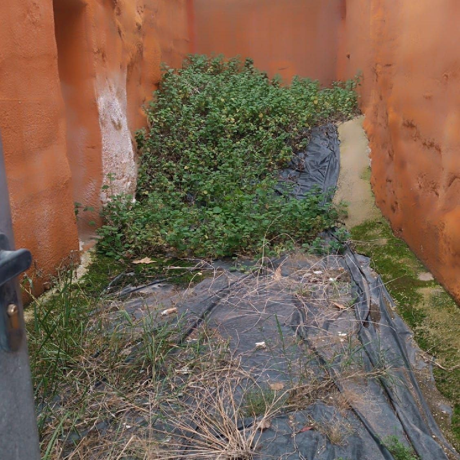  till salu tomt Castalla Alcoia 2