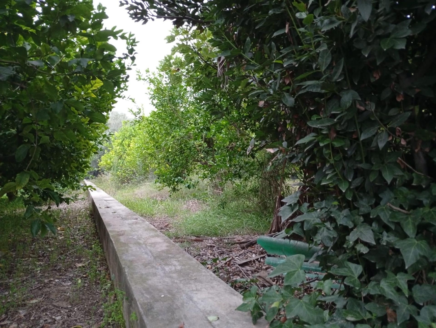 for sale plot Castrillo De Murcia Odra-Pisuerga 4