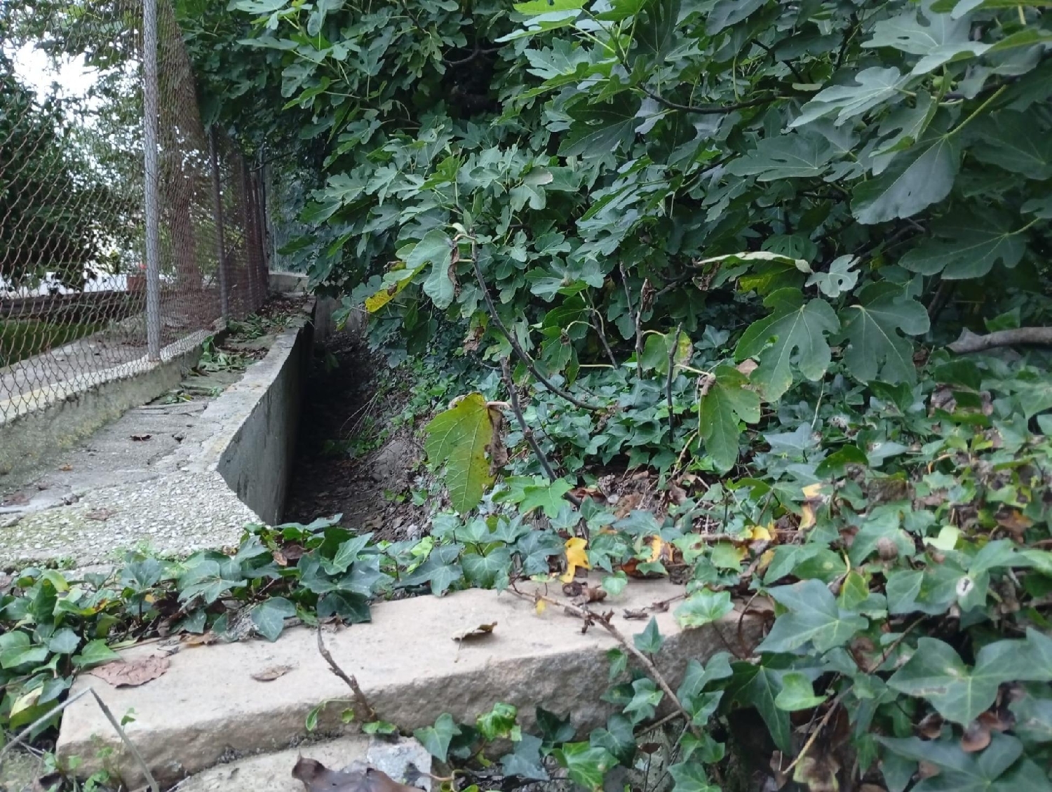 for sale plot Castrillo De Murcia Odra-Pisuerga 6