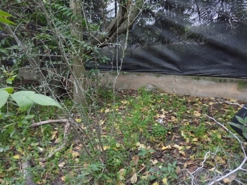 Castrillo De Murcia Odra-Pisuerga plot foto 6338880