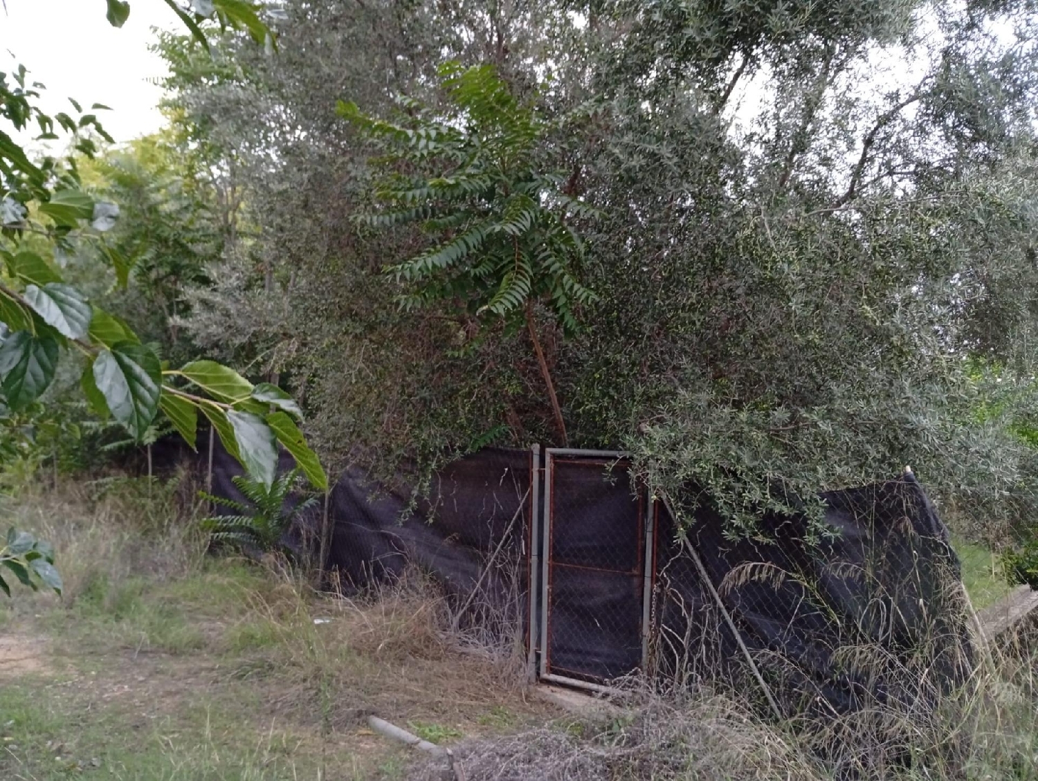 for sale plot Castrillo De Murcia Odra-Pisuerga 5