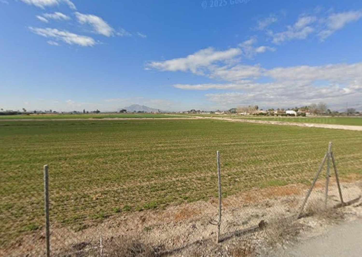  te koop perceel Catral Baix Segura 2