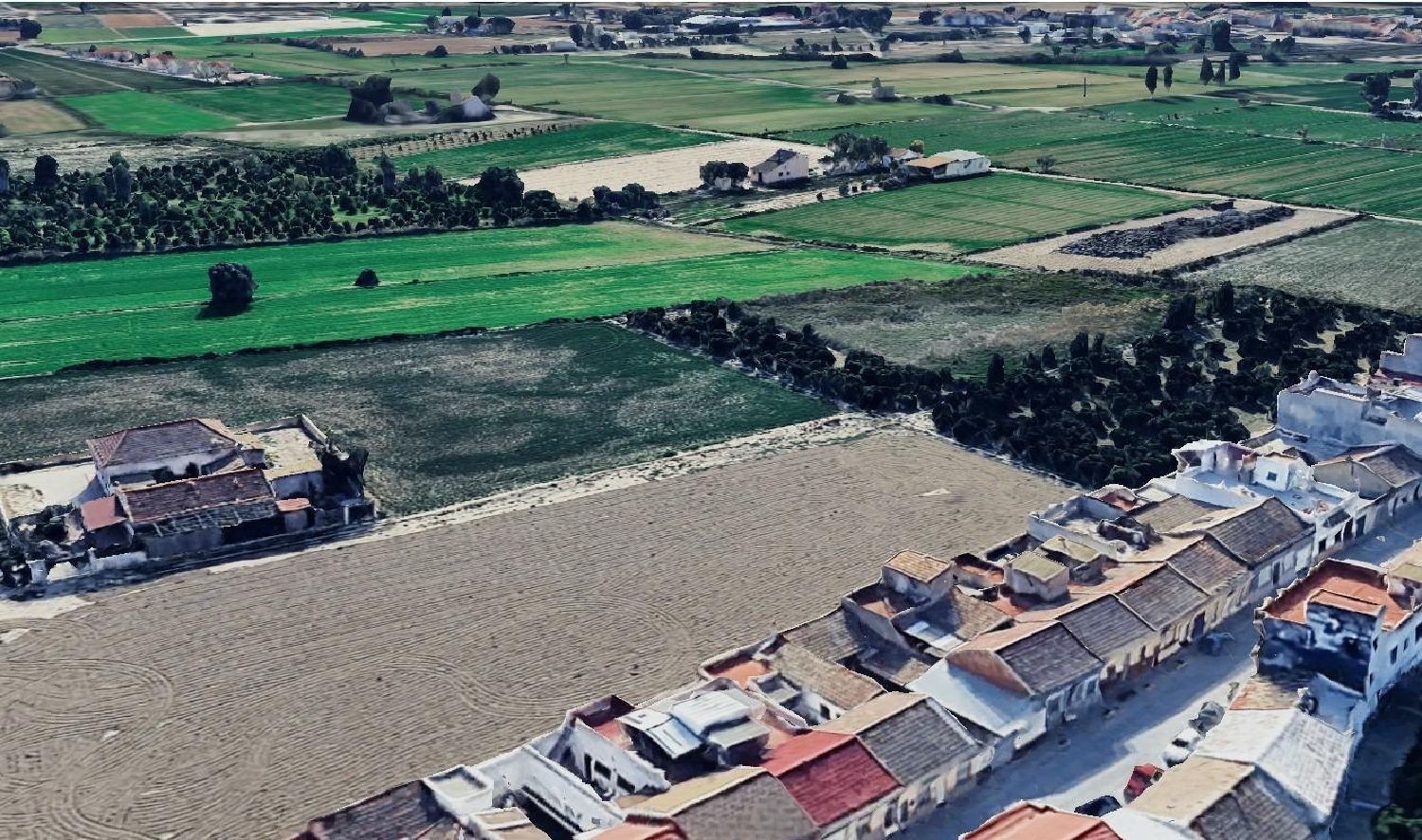  te koop perceel Catral Baix Segura 1