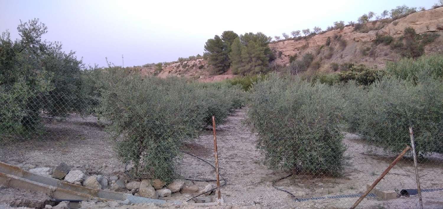 till salu tomt Cehegín Noroeste 6