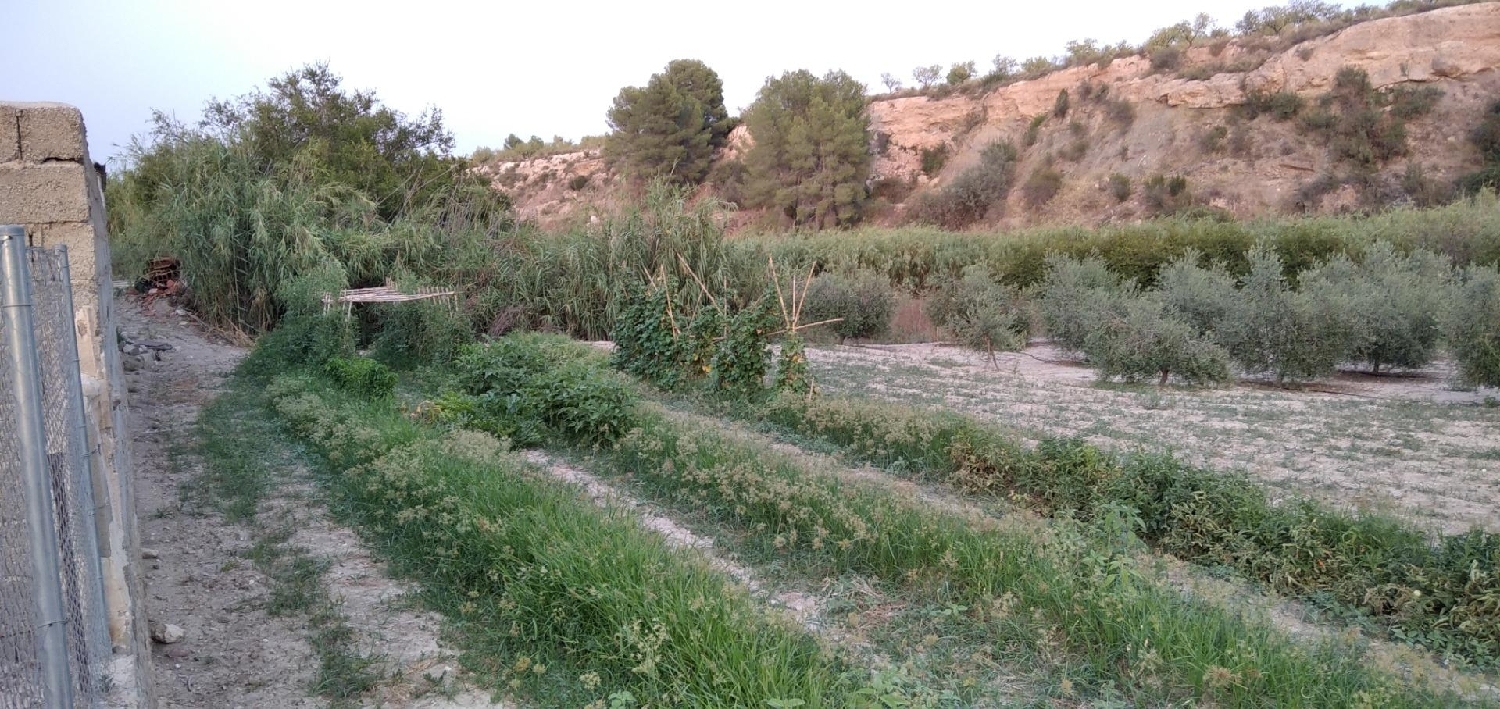 till salu tomt Cehegín Noroeste 4