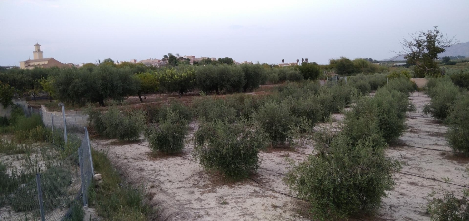 till salu tomt Cehegín Noroeste 2