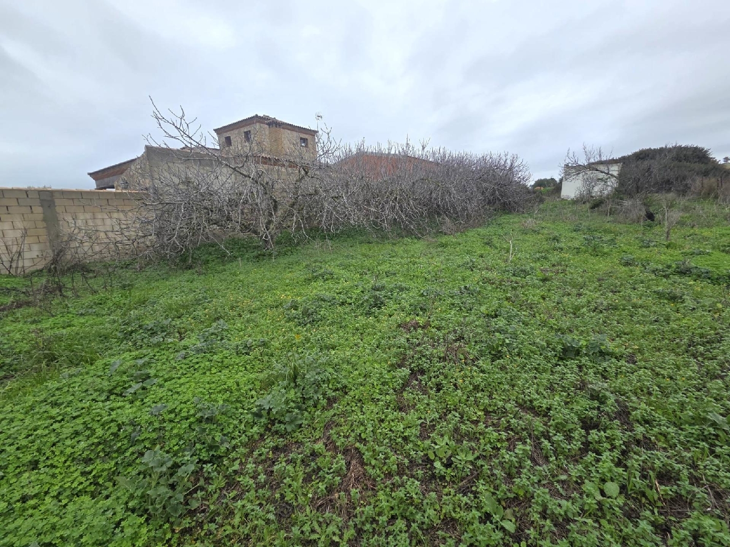  kaufen Grundstück Chiclana De La Frontera Bahía De Cádiz 7