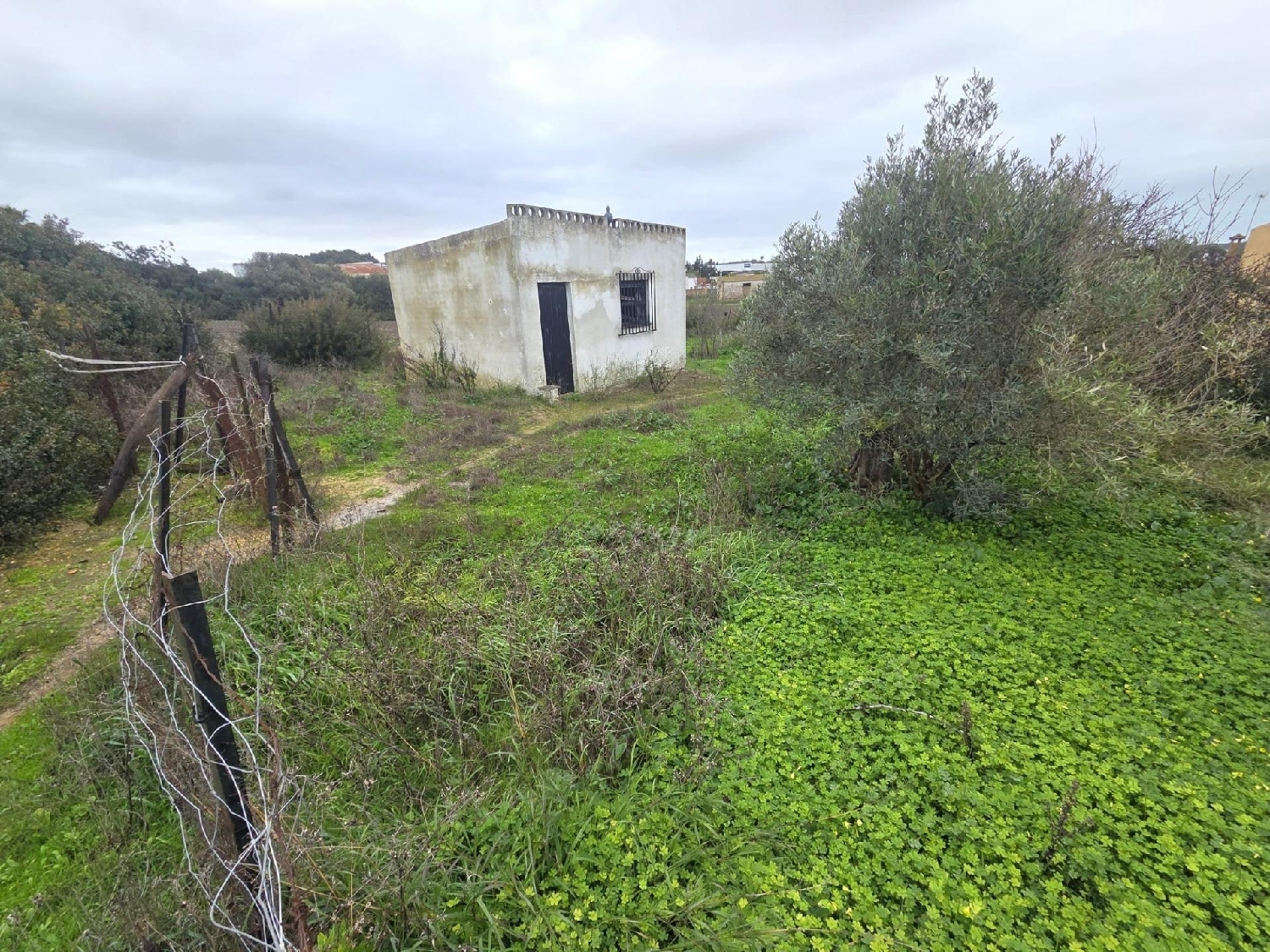  kaufen Grundstück Chiclana De La Frontera Bahía De Cádiz 5
