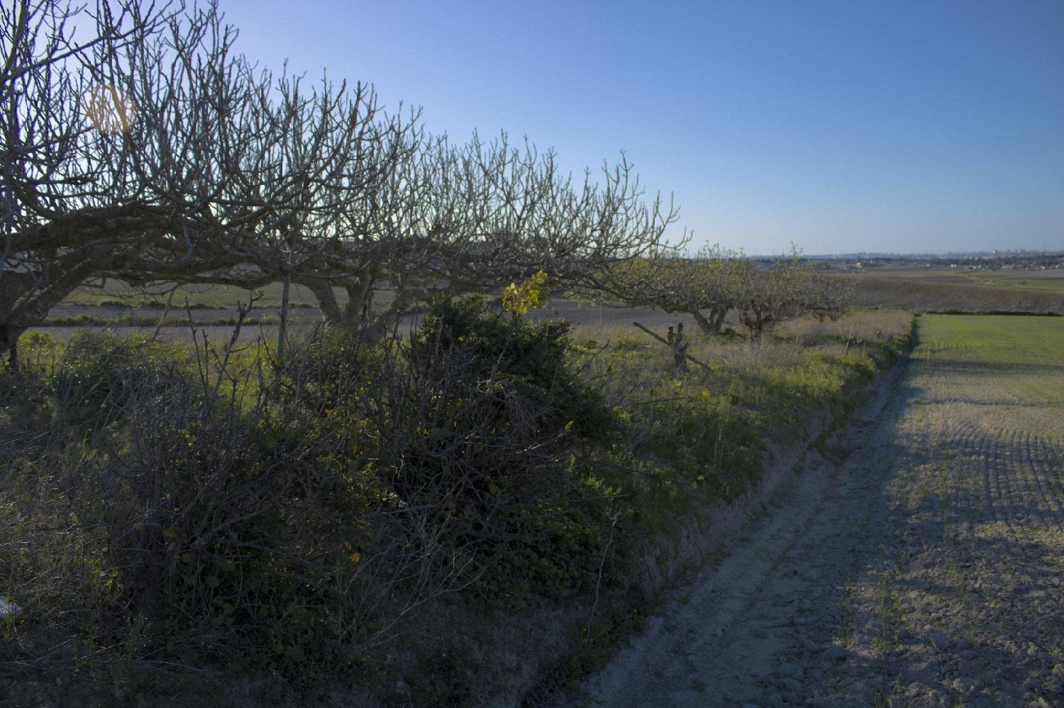  for sale plot Chiclana De La Frontera Bahía De Cádiz 3