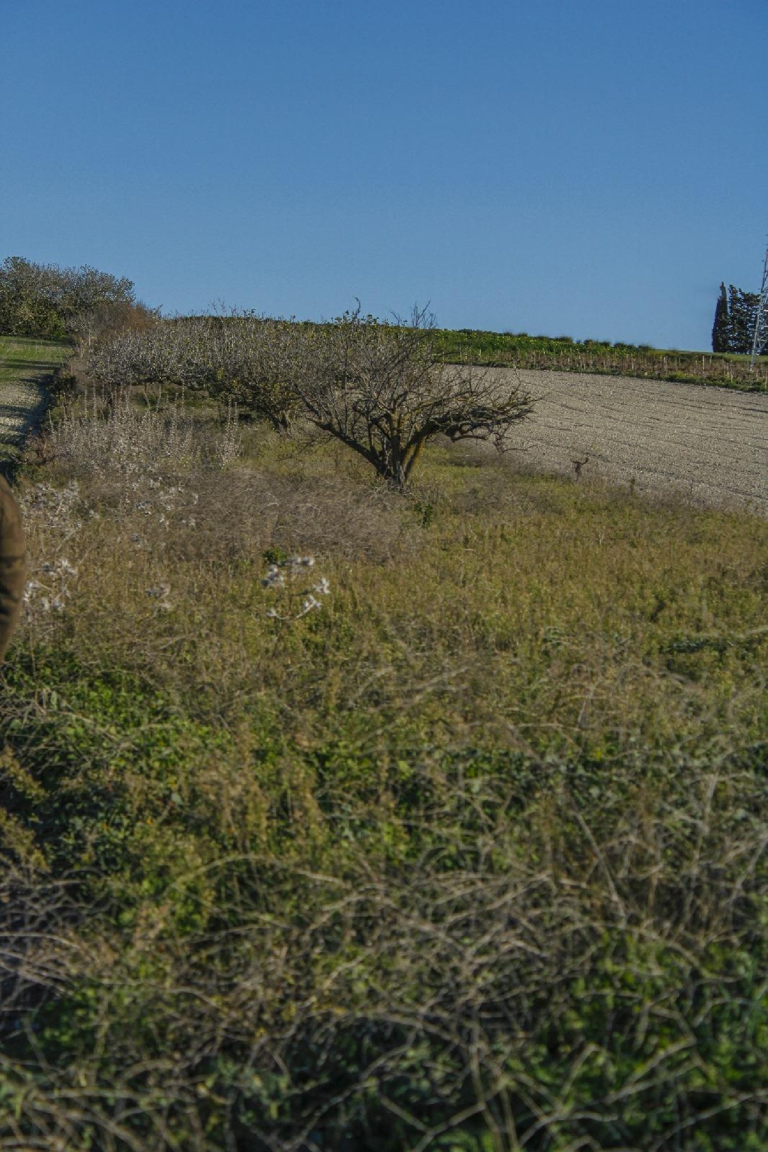  for sale plot Chiclana De La Frontera Bahía De Cádiz 6