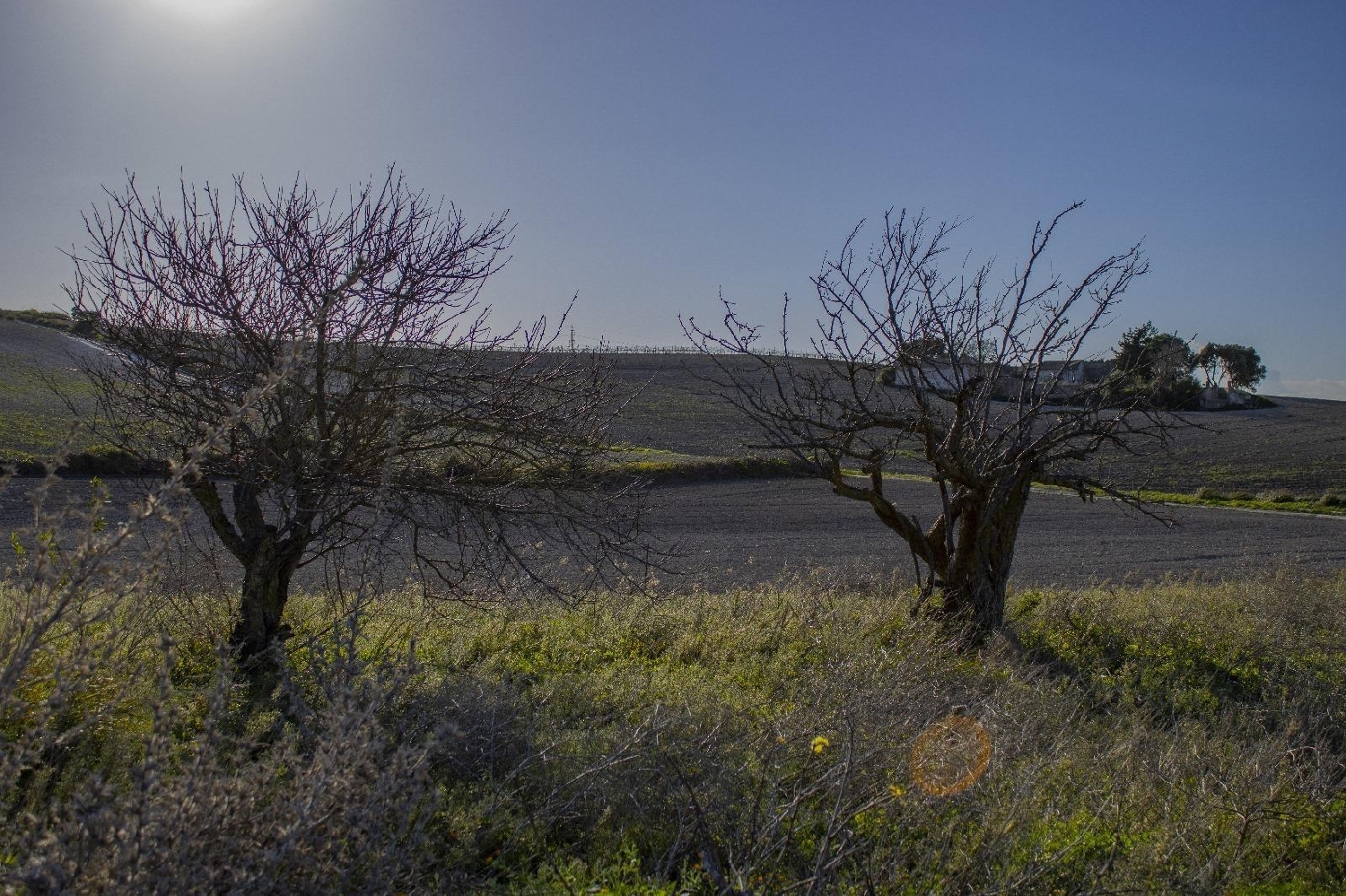  for sale plot Chiclana De La Frontera Bahía De Cádiz 2