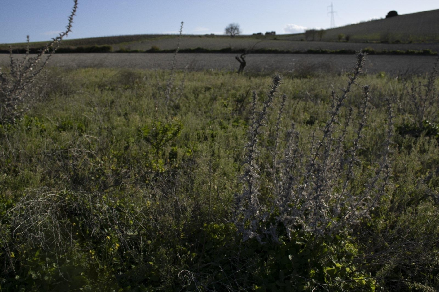  for sale plot Chiclana De La Frontera Bahía De Cádiz 5