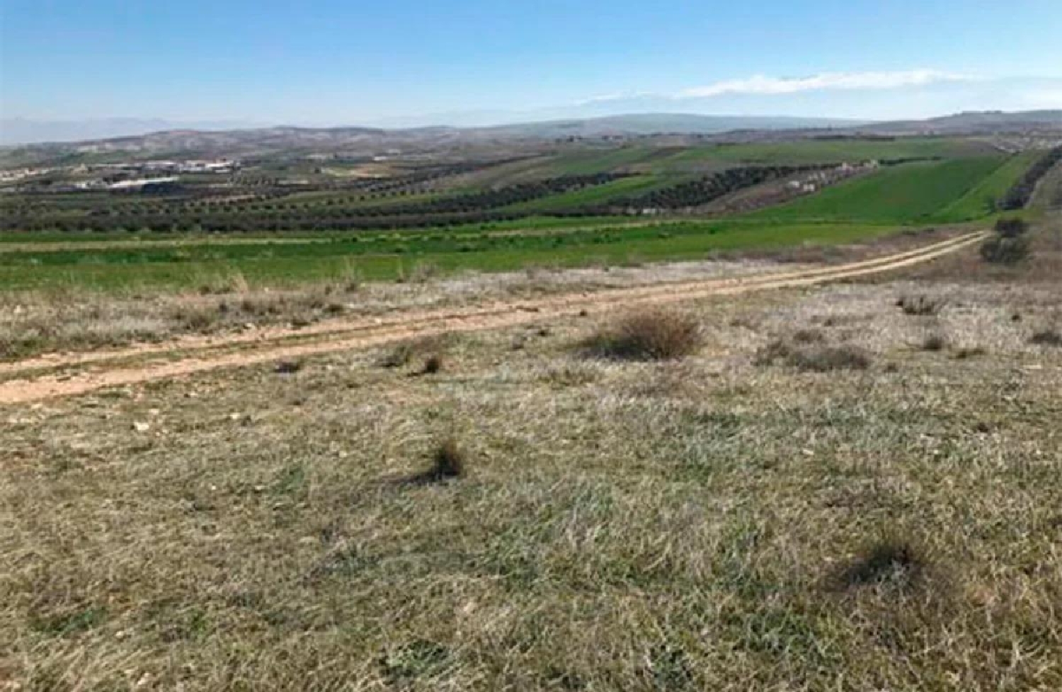  for sale plot Chimeneas Alhama 4