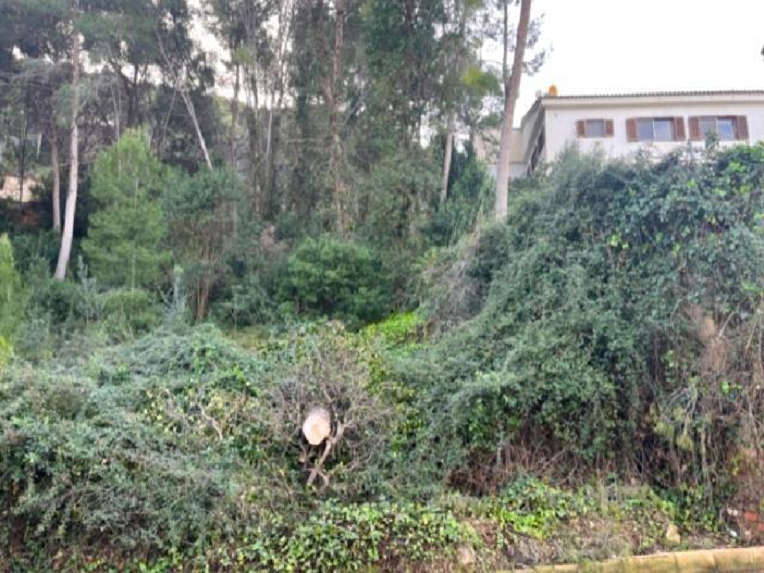 till salu tomt Chiva Hoya De Buñol 4