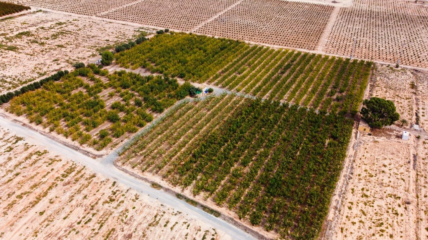  for sale plot Cieza Vega Alta Del Segura 7