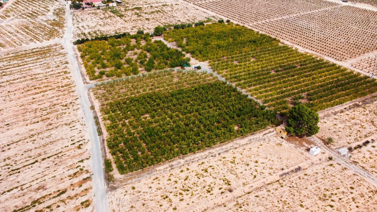  for sale plot Cieza Vega Alta Del Segura 8