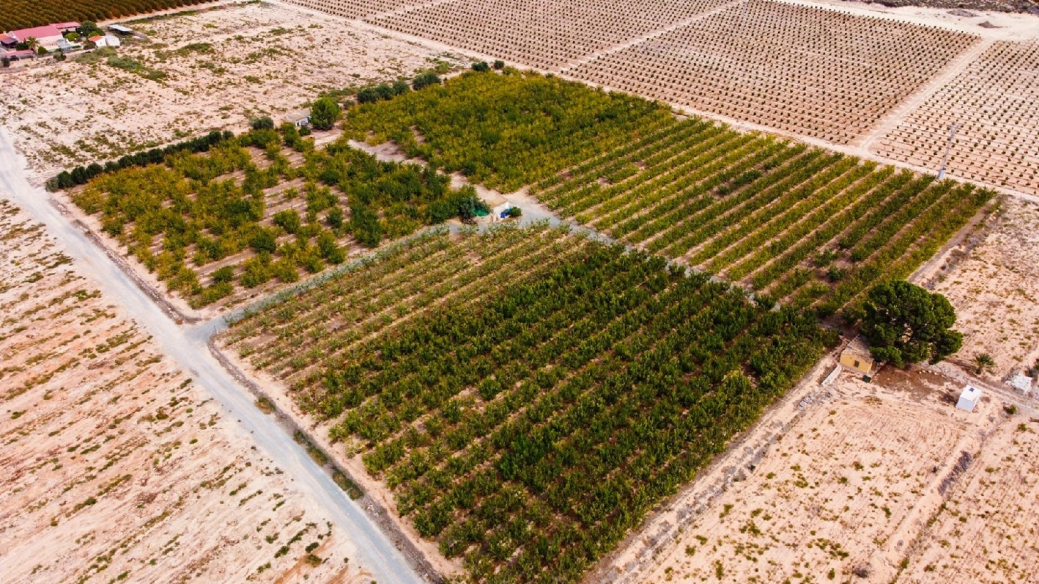  for sale plot Cieza Vega Alta Del Segura 1