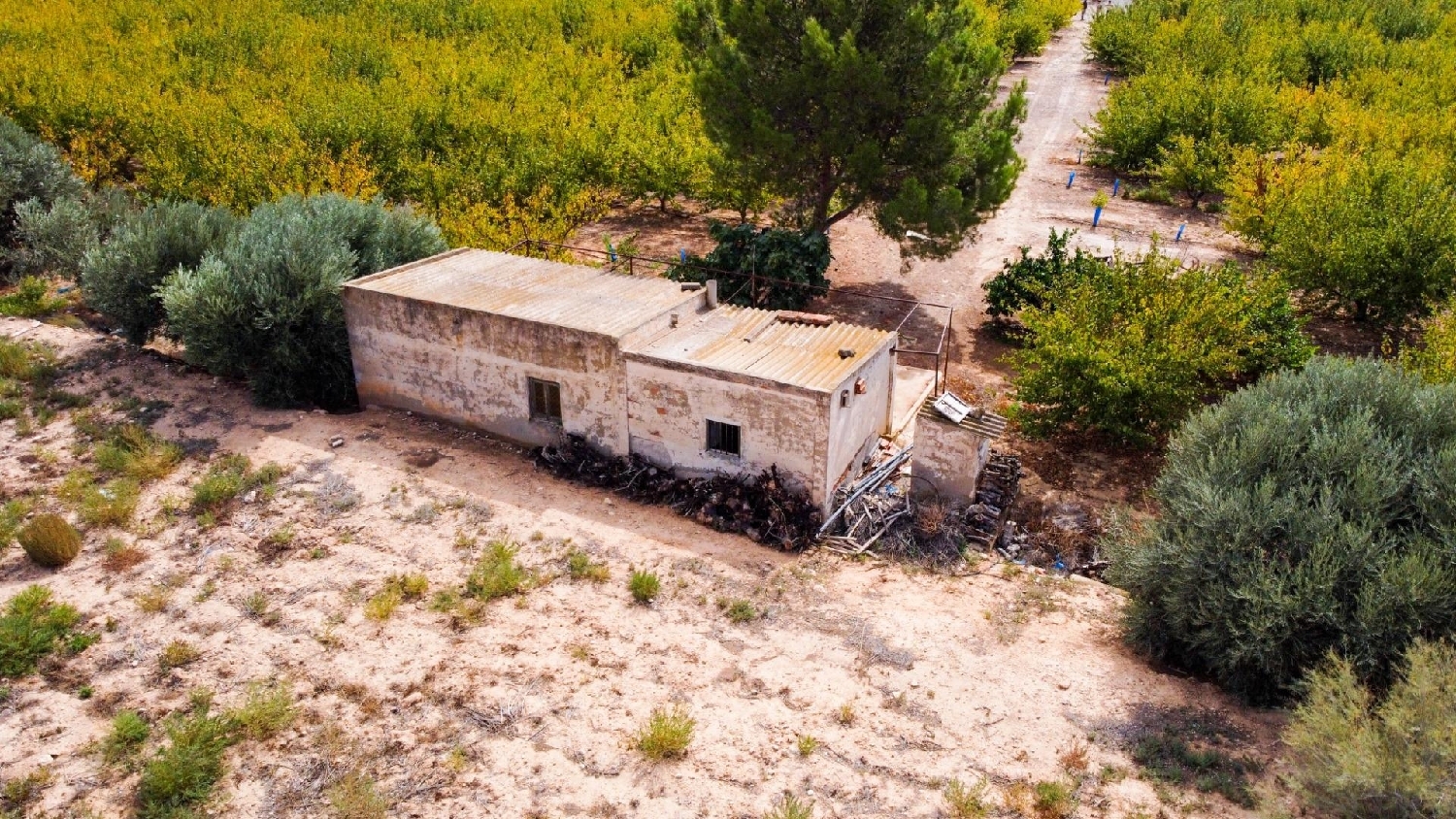  for sale plot Cieza Vega Alta Del Segura 3