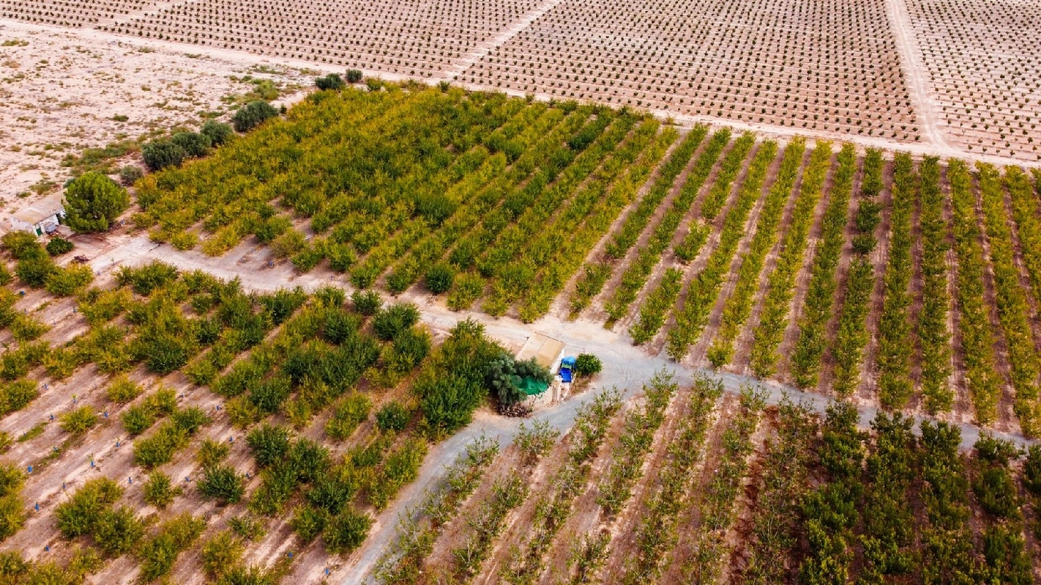  for sale plot Cieza Vega Alta Del Segura 6